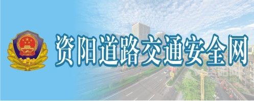 看逼网资阳道路交通安全网