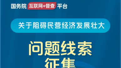 艹扣插国务院“互联网+督查”平台公开征集阻碍民营经济发展壮大问题线索